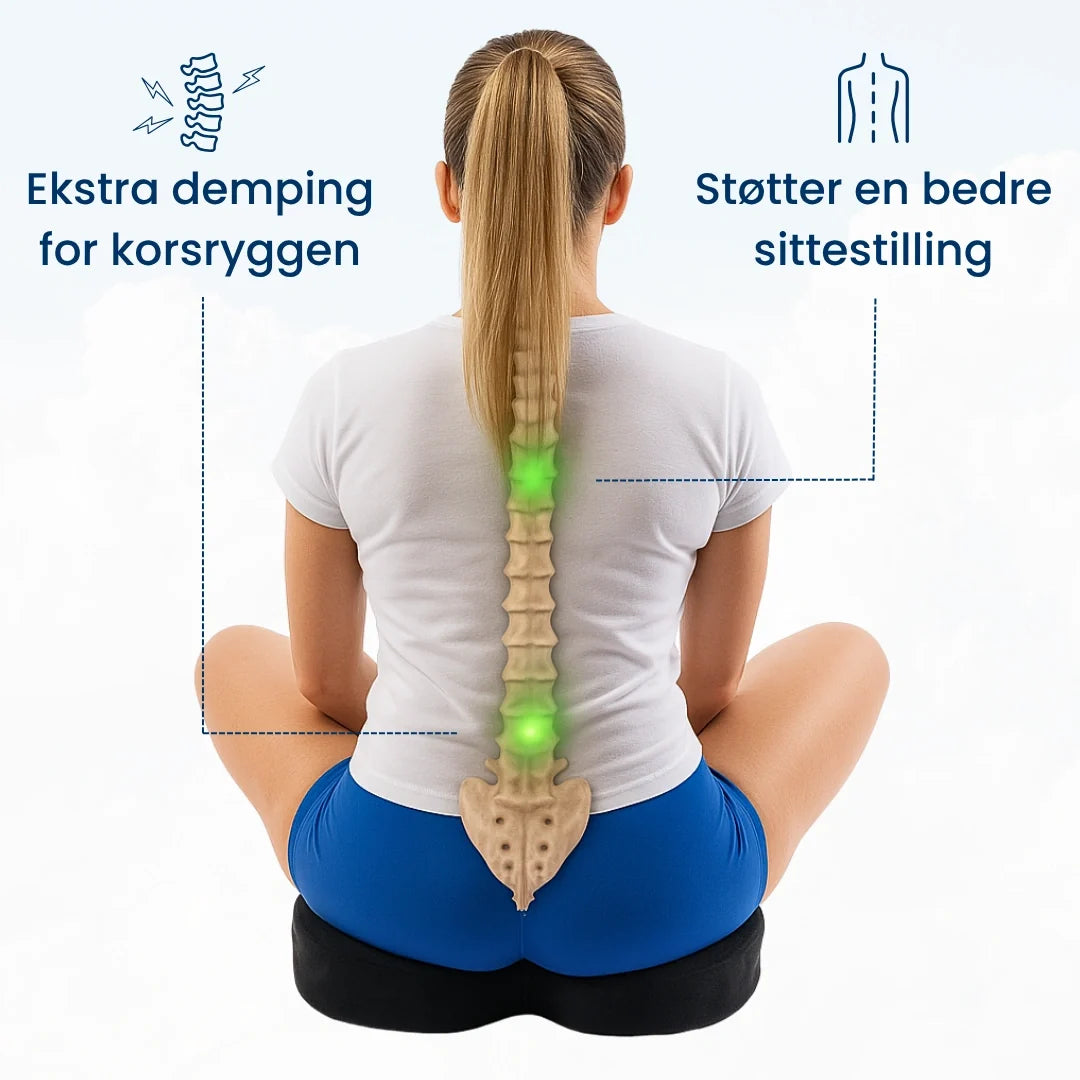 Ergonomisk Sittepute