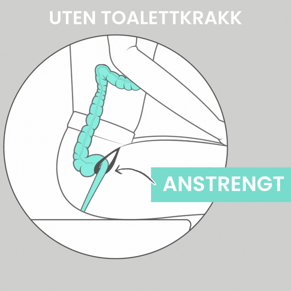 Toalettkrakk - Din Holdning