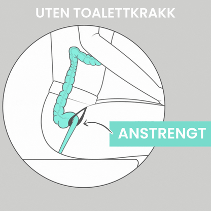 Toalettkrakk - Din Holdning